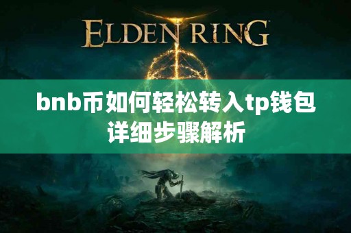 bnb币如何轻松转入tp钱包详细步骤解析